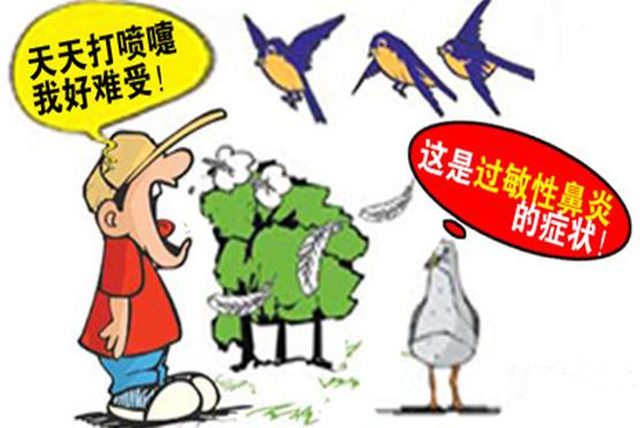 经常鼻痒打喷嚏多半是过敏性鼻炎，喝粥可治！5个小偏方收好！