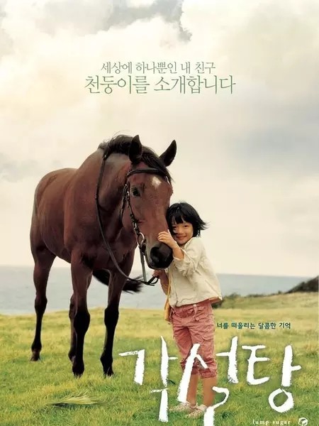 适合孩子看的八部动物电影,小朋友可以看的与动物有关的电影