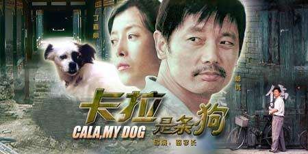 适合孩子看的八部动物电影,小朋友可以看的与动物有关的电影