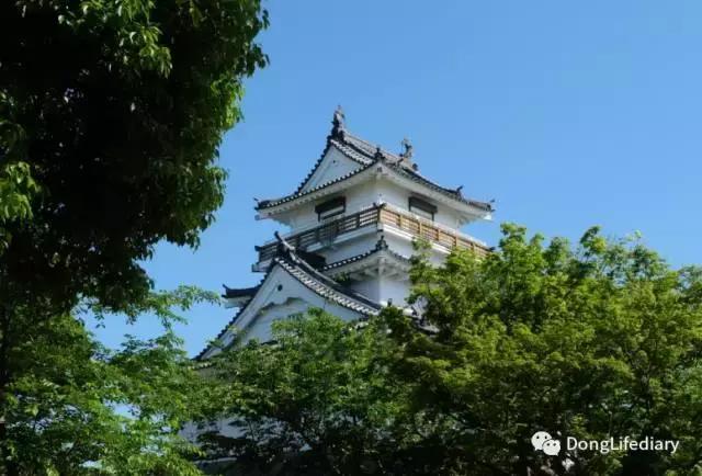 去日本北九州好吗,北九州看樱花