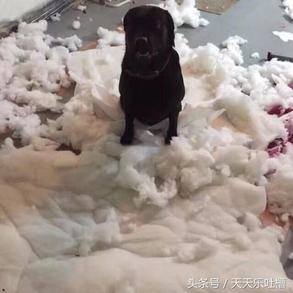 淘宝爆笑买家秀完整版,买家秀奇葩鞋子