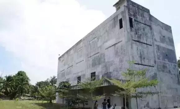 燕窝是哪种金丝燕的巢,金丝燕窝有什么成分