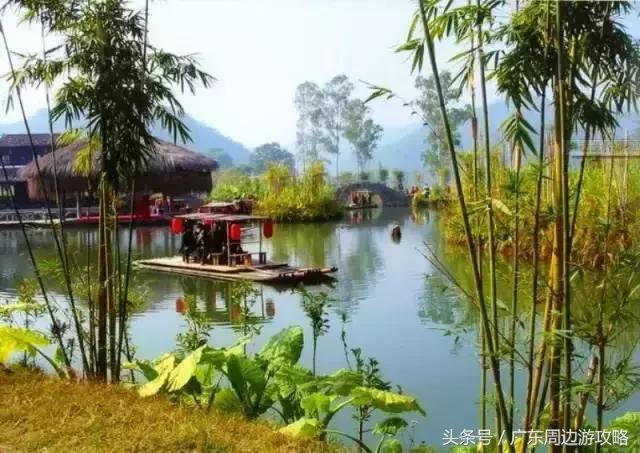 广东普罗旺斯花海,普罗旺斯的薰衣草紫色花海