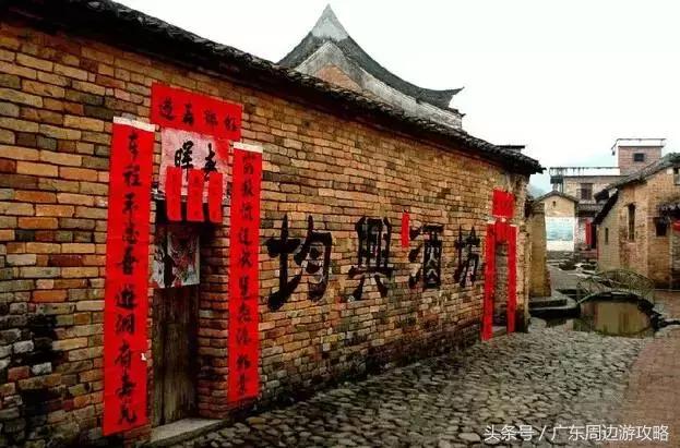 广东普罗旺斯花海,普罗旺斯的薰衣草紫色花海