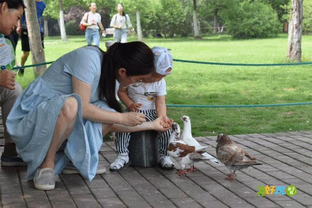 老合肥杏花公园,合肥曾经有两个杏花公园