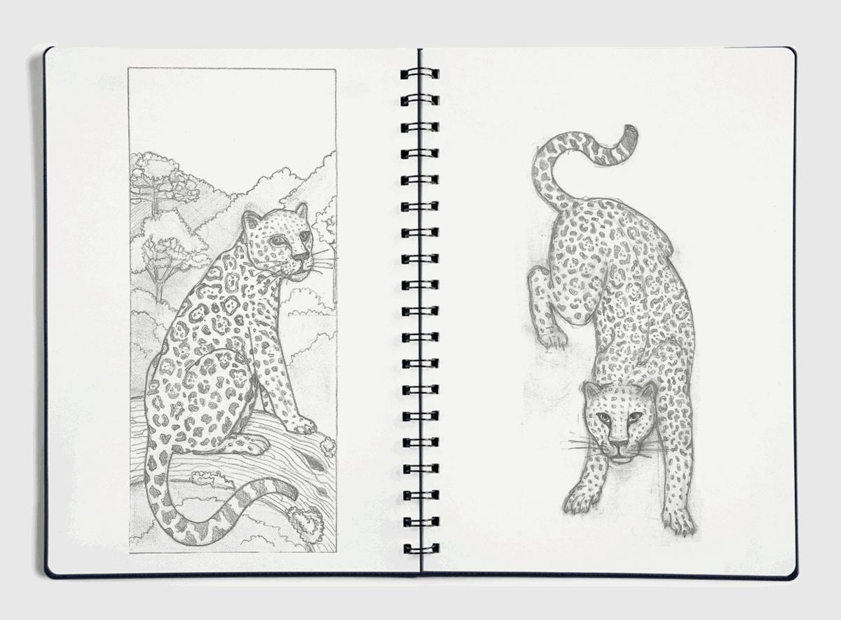 去阿姆斯特丹买礼物买什么,阿姆斯特丹需要门票吗