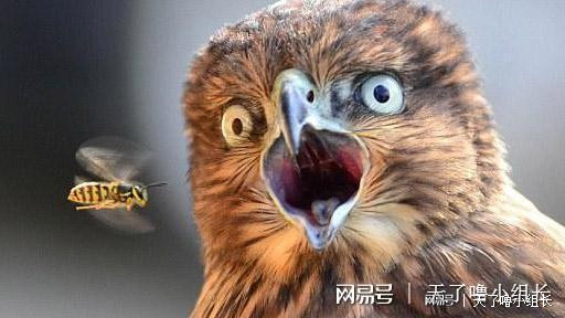 全身被烧伤后的皮肤,皮肤烧伤起皮疹