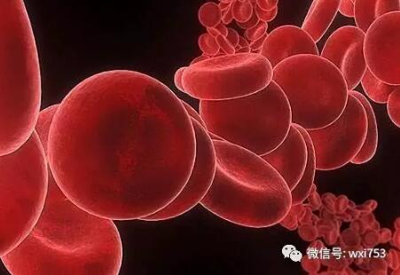 儿童过敏性紫癜怎么治疗的短视频,请问有人知道过敏性紫癜吗