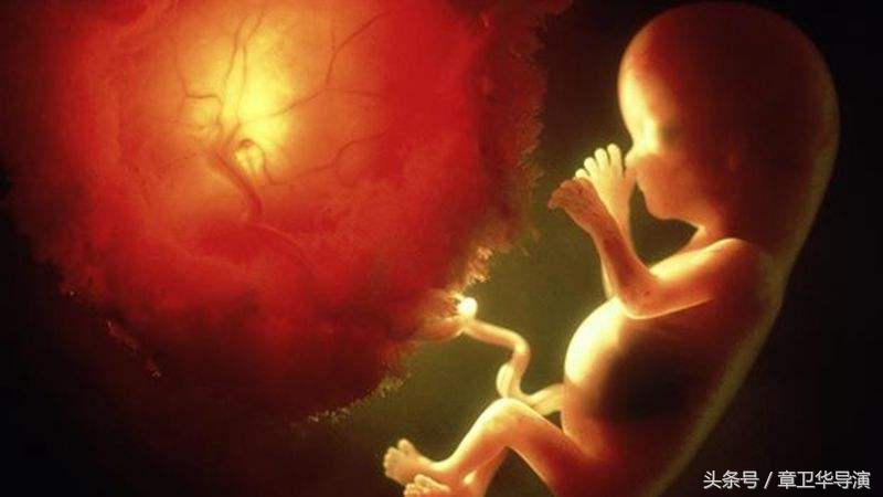 产检必做的几个检查,所谓的产检真能检测出问题吗