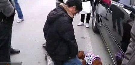 车撞死狗要不要退款,机动车撞死狗要赔钱吗