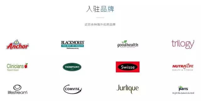 黑马！华人留学生创业仅两年，就斩获新中贸易大奖！