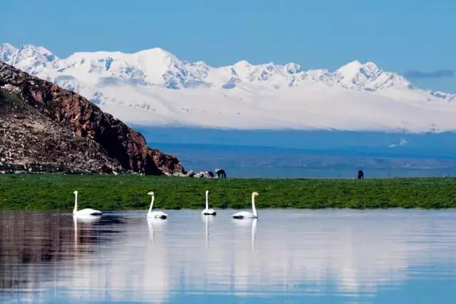 新疆南北疆大环线风景旅游专列,北京去新疆沿途风景
