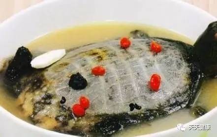 夏季低热应及时调治