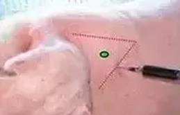 养猪全套技术如何提高受胎力,养猪技术视频猪不吃食怎么办