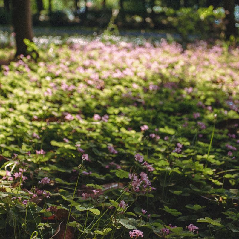 超高清gif制作,怎么制作高质量gif