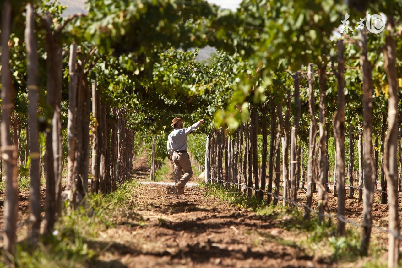 返乡农民工创业面临的困难和问题,返乡创业方面有什么困难