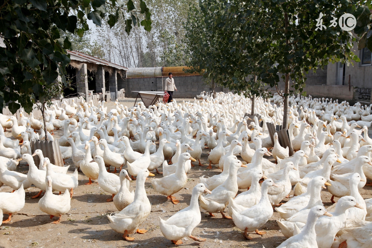 返乡农民工创业面临的困难和问题,返乡创业方面有什么困难