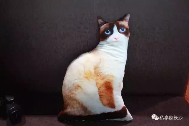 论“在餐厅一边看mao片，一边撸”，是一种什么样的体验？