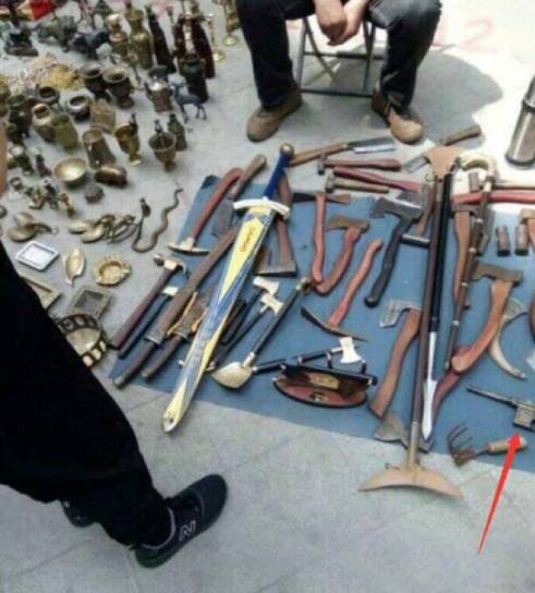 泰迪模仿主人的5种表现,泰迪真的能听懂人类的脚步声吗