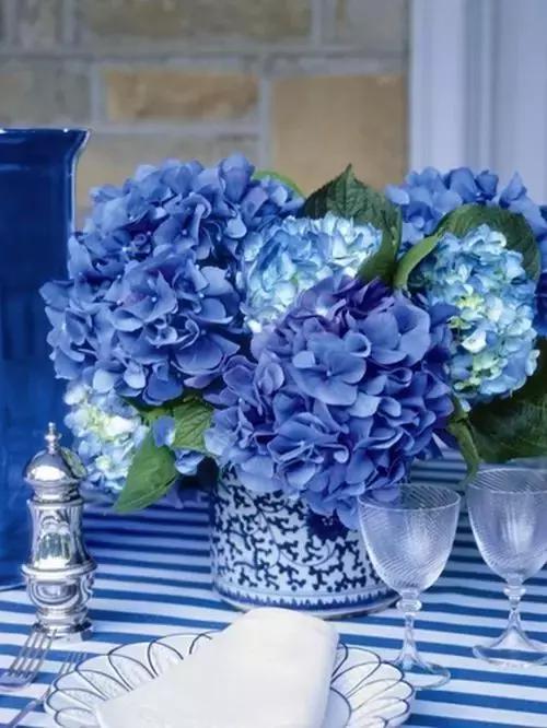 我想学插花有教程吗,学插花怎么学