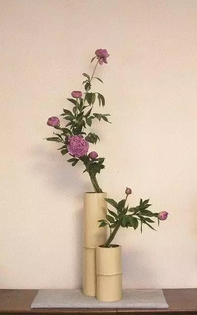 我想学插花有教程吗,学插花怎么学