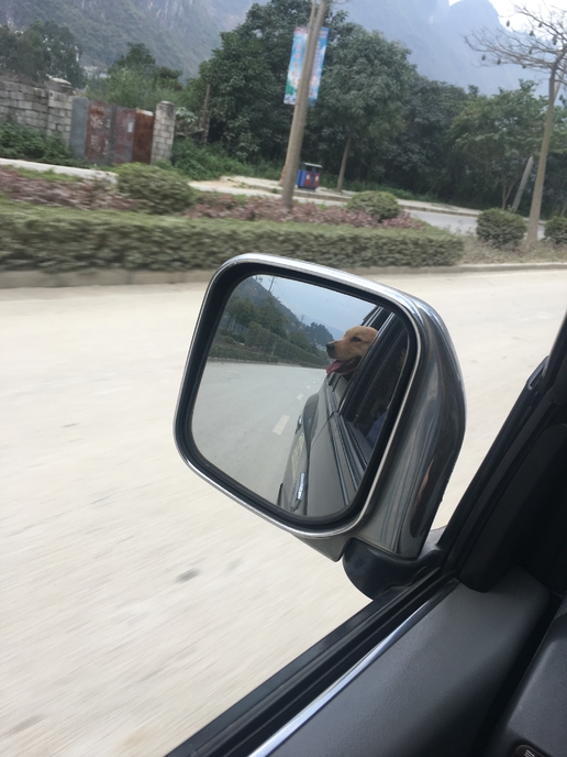 为了儿时梦想努力奋斗,儿时的梦想帕杰罗