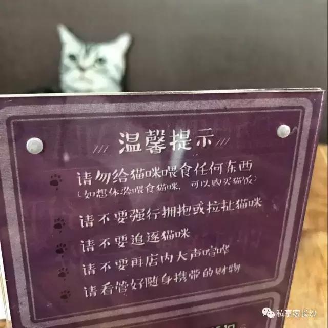 论“在餐厅一边看mao片，一边撸”，是一种什么样的体验？