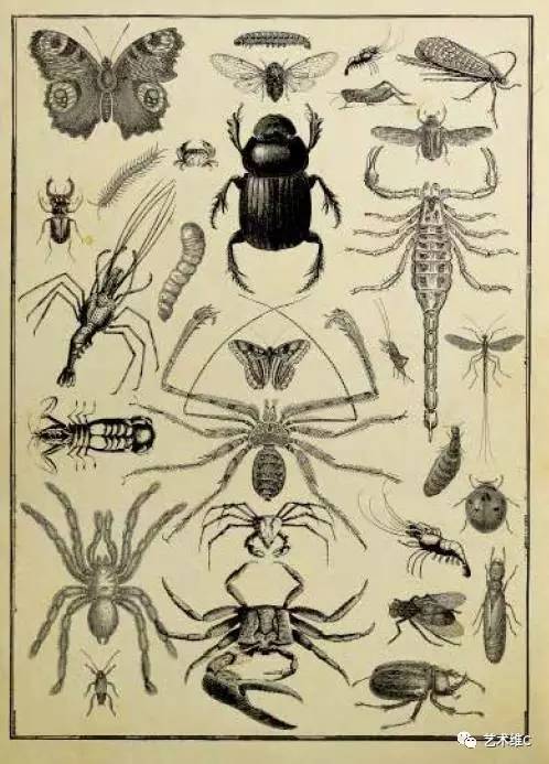 你猜猜，几百年前人们是怎么收藏的？