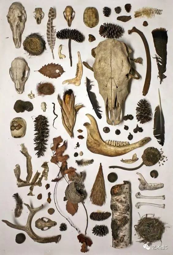 你猜猜，几百年前人们是怎么收藏的？