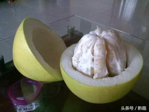 苦柚子与柚子的区别,为什么柚子会有苦的