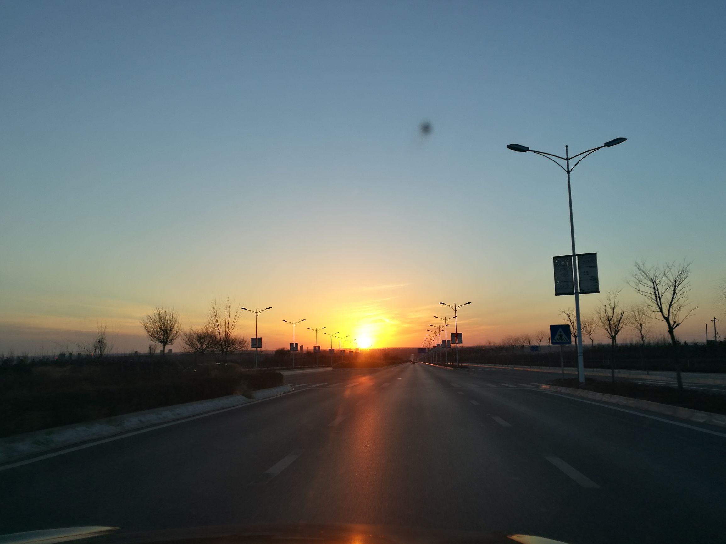 生命的特征包括四大特征,生命的特征政治