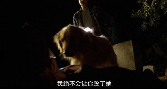 万恶之源绝不是脚踏三条船的大波妹，该是圣母内脑袋