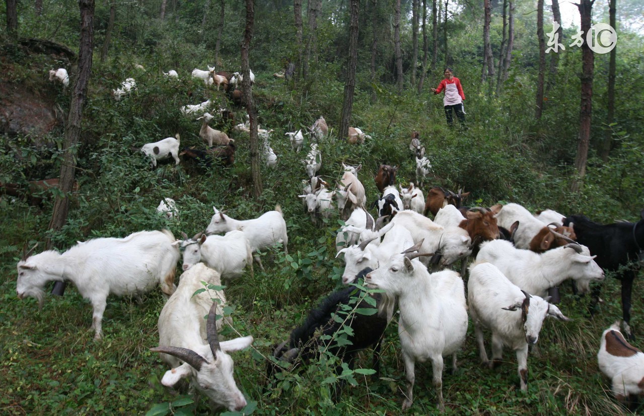 返乡农民工创业面临的困难和问题,返乡创业方面有什么困难