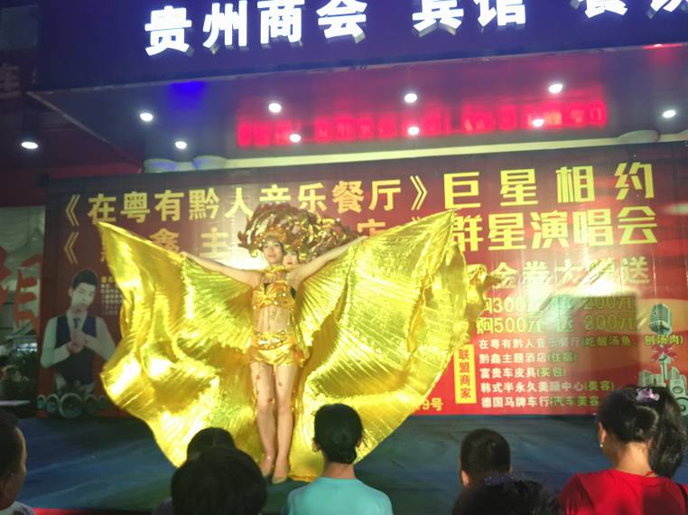 粤有黔人音乐演唱会,粤有黔人演唱会