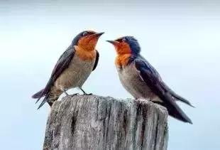 肇庆端州风水宝地,肇庆的风水宝地留题图片