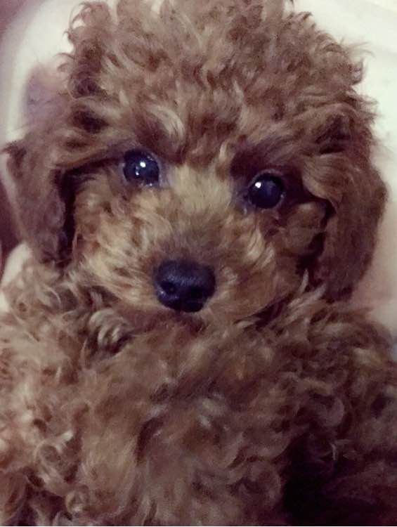 拔草种草60多种化妆品,大牌护肤品拔草合集