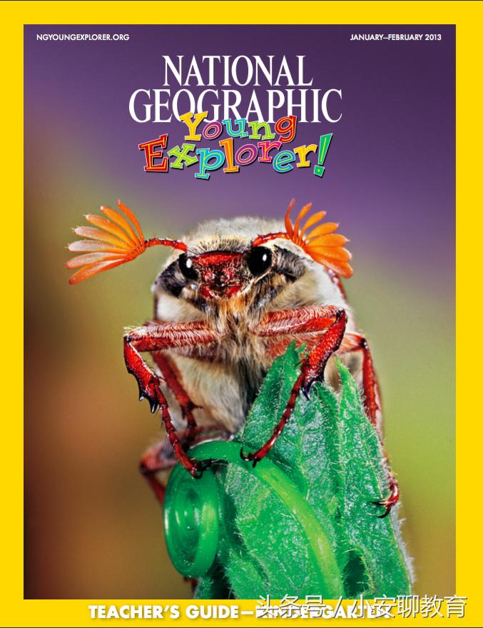 为什么我学了10年的英语还没学会,为什么我们学英语却不先学音标