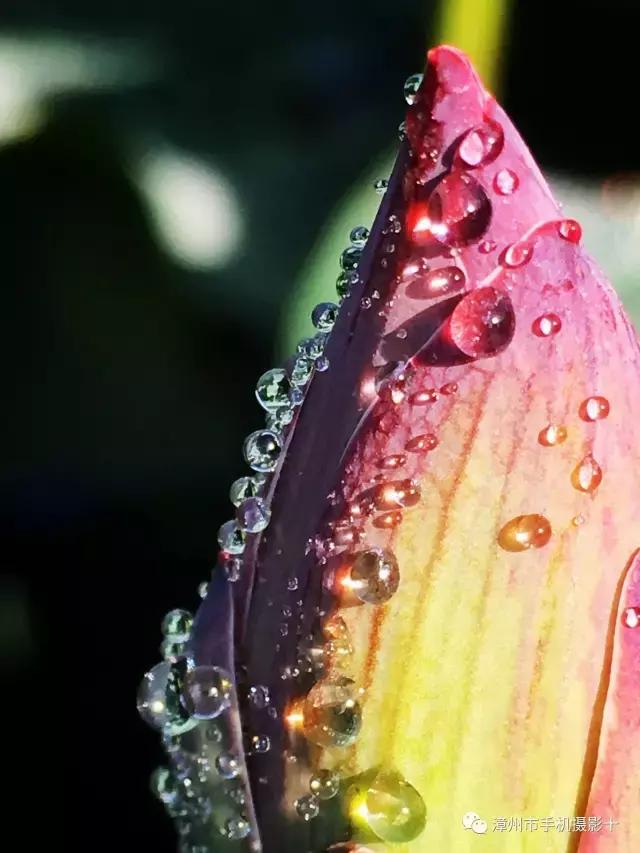 手机拍大片推荐,手机拍出来的大片欣赏