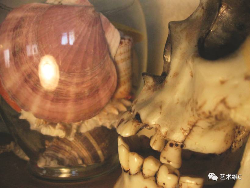 你猜猜，几百年前人们是怎么收藏的？