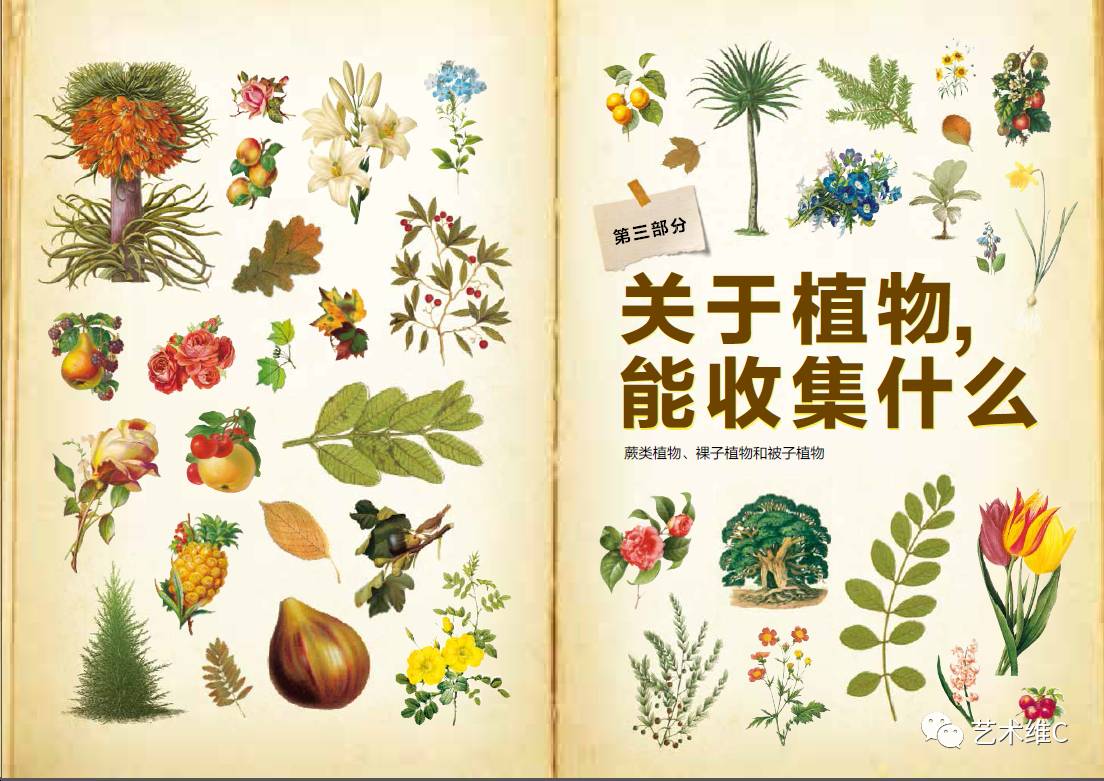 你猜猜，几百年前人们是怎么收藏的？