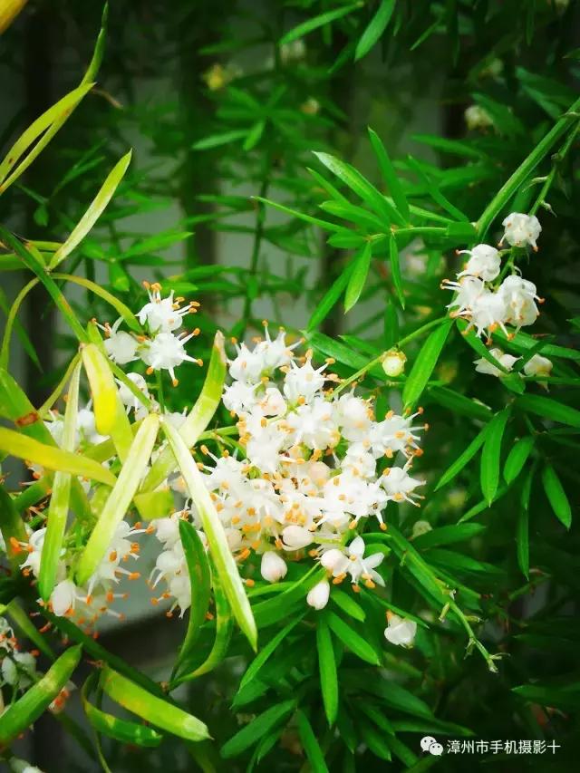 手机拍大片推荐,手机拍出来的大片欣赏