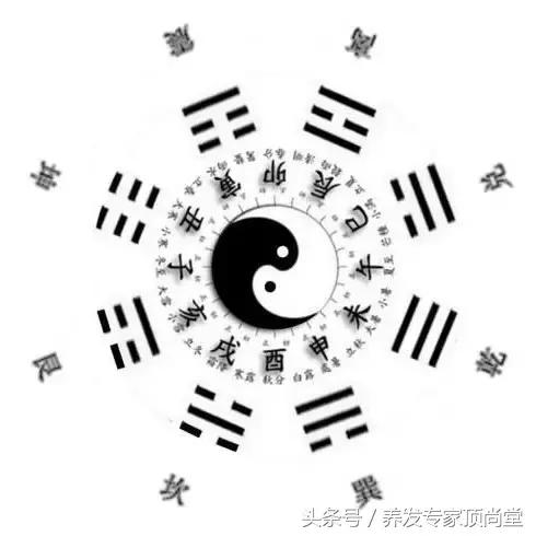 怎样降低雄性激素减少脱发,男性雄性激素脱发的治疗方法