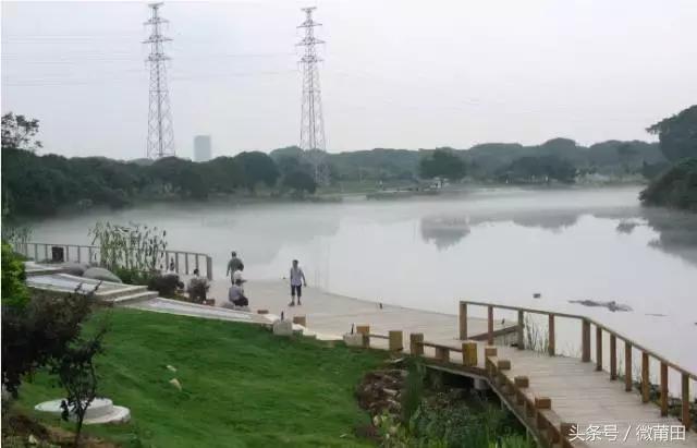 我是莆田的原视频,莆田头条最近