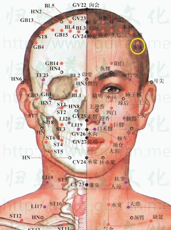 人体穴位大全——颔厌穴：头痛、耳鸣、眩晕、齿痛等