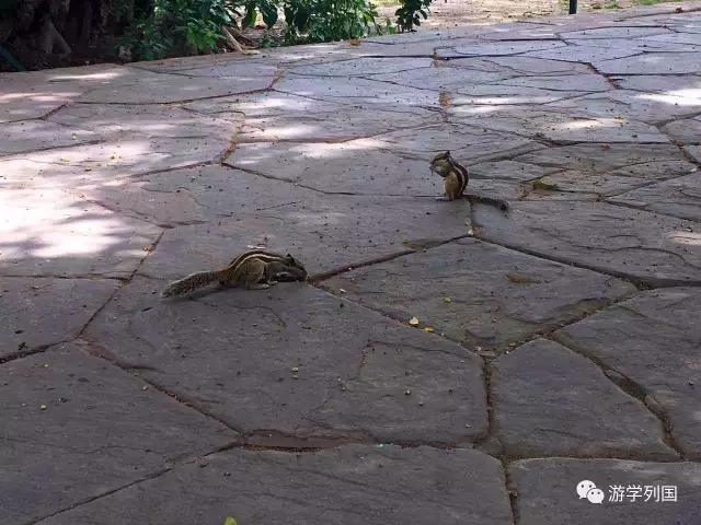 印度阿格拉堡游记,印度阿格拉的著名景点爱情故事