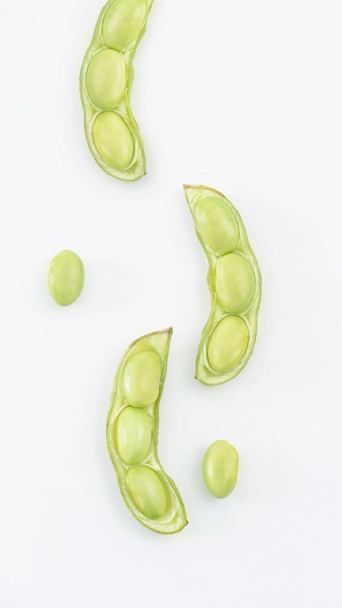 手机壁纸绿色简约干净有文字,绿色食物壁纸