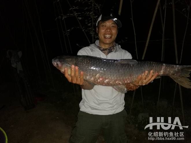 钓无定律，灵活运用不放弃完美上岸，收竿鱼得大青！