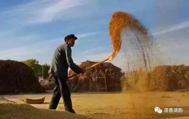 布谷鸟叫了完整版,布谷鸟叫了吗