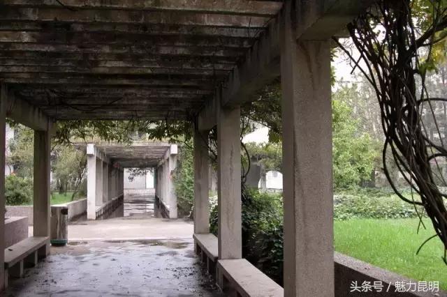 谢谢你昆明,昆十四中学