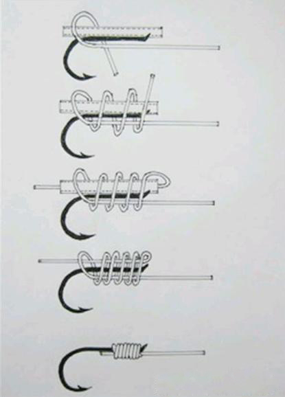 新手钓鱼入门基本知识绑钩,四海钓鱼技巧视频教学
